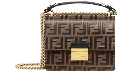 Fendi Kan U bag
