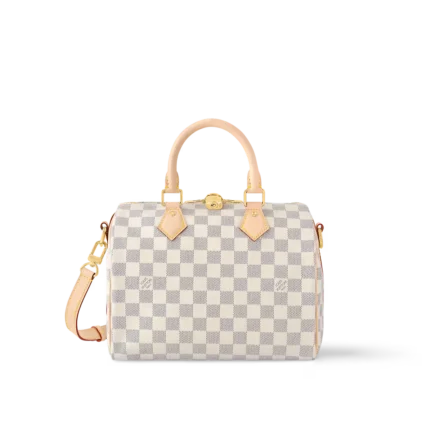 Louis Vuitton N40608 Speedy Bandoulière 25