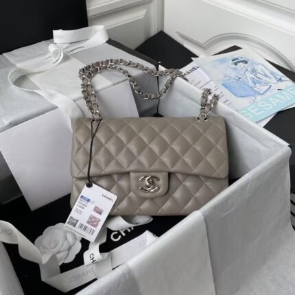 Chanel Small Classic Handbag Silver Hardware